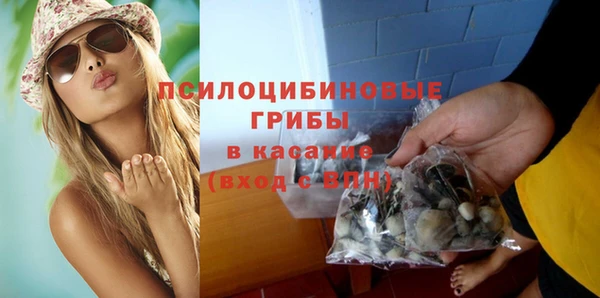 мдпв Слюдянка