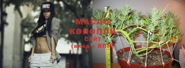 мдпв Слюдянка
