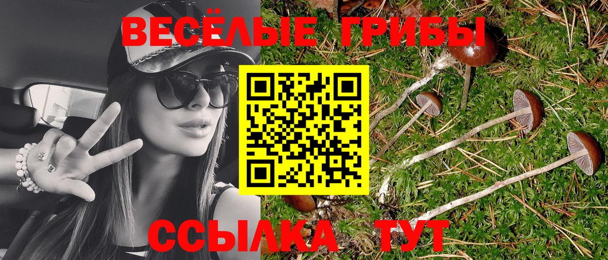 Псилоцибиновые грибы мицелий Бугульма