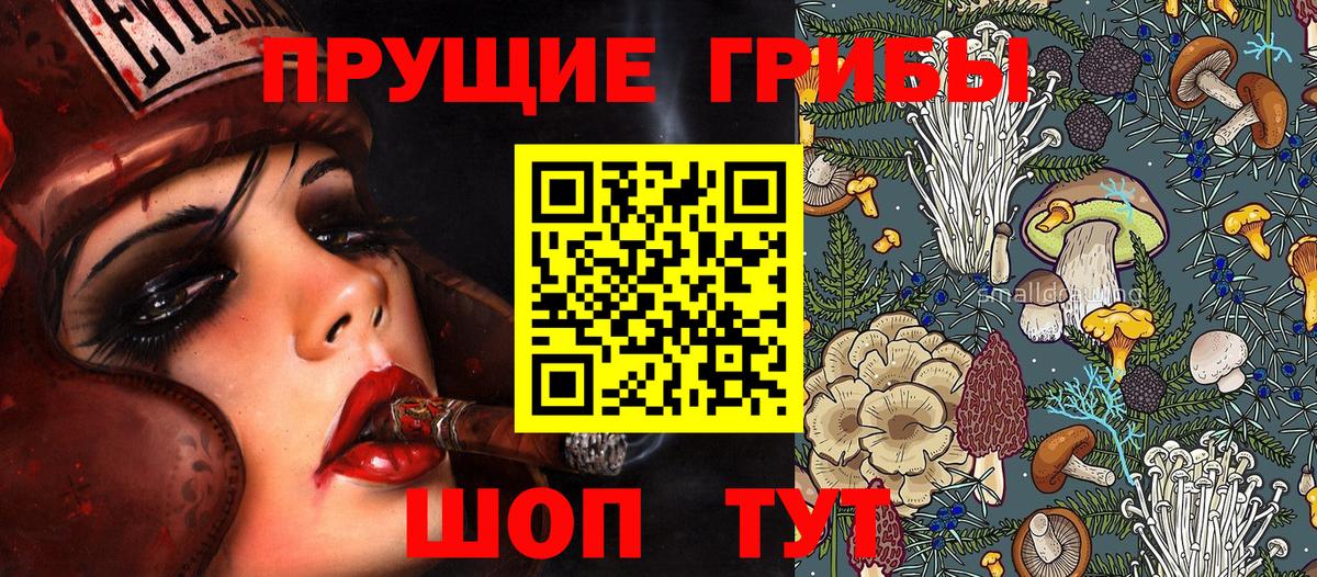 Галлюциногенные грибы Psilocybe  Бугульма 