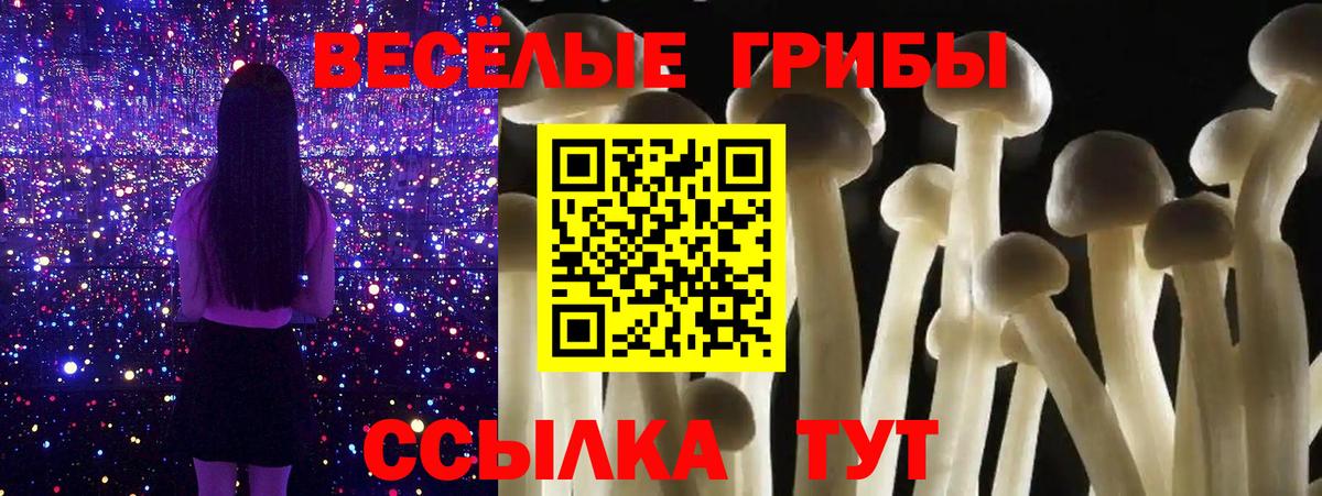 Псилоцибиновые грибы мухоморы  Галлюциногенные грибы MAGIC MUSHROOMS  Бугульма  Вход с VPN 